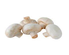 Button Mushroom for sale in Ahmedabad