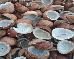 A Grade Quality Copra for sale in Coimbatore