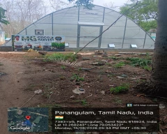 A Grade Quality Copra for sale in Pudukkottai