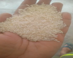 Normal Rice for sale in Jaunpur