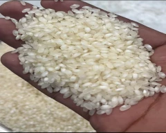 Normal Rice for sale in Kanchipuram