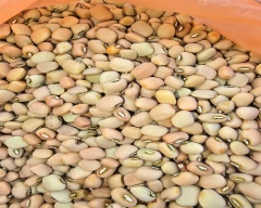 Normal Cowpea for sale in Bagalkot