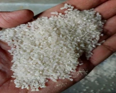 Broken Rice for sale in YSR District