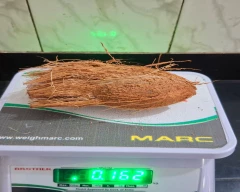 Normal Coconut for sale in Kozhikode