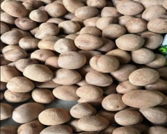 A Grade Quality Copra for sale in Nalanda