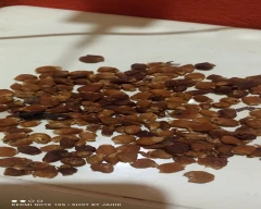 A Grade Quality Mahua for sale in Neemuch