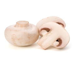 Button Mushroom for sale in Tiruchirappalli