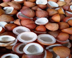 A Grade Quality Copra required in Dindigul