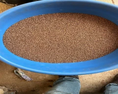 Kodo Millet for sale in Dindori