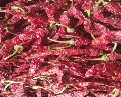 2046 Dry Chilli for sale in Haveri