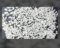 Swarna Mansoori Rice for sale in Sonitpur