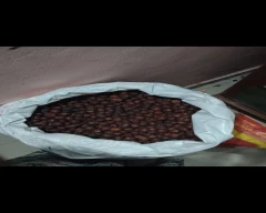 Rashi Arecanut for sale in Coimbatore