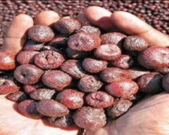 Dried Arecanut for sale in Bongaigaon