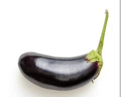 Normal Brinjal for sale in Dindori