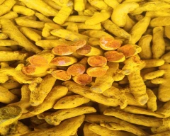 Dry Finger Turmeric for sale in Sangli