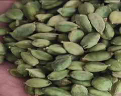 8 MM Cardamom for sale in Idukki