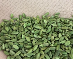 6 - 7MM Cardamom for sale in Bengaluru Urban