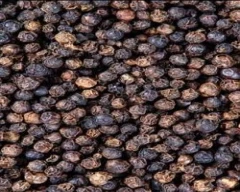 Garbled Pepper for sale in Idukki
