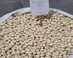 5 Suta Makhana for sale in Bhagalpur