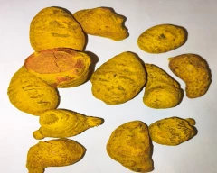 Bulb Turmeric for sale in Guntur