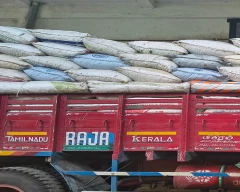 B Grade Quality Tamarind for sale in Dindigul