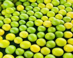 A Grade Quality Lemon for sale in Bengaluru Urban