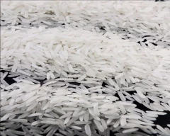 Swarna Mansoori Rice required in Mumbai Suburban
