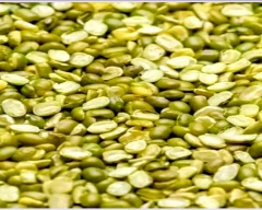 A Grade Quality Moong Dal for sale in Akola