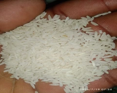 Sonam Rice for sale in Narsinghpur
