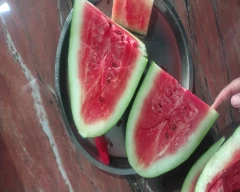 Simba Watermelon for sale in Aurangabad