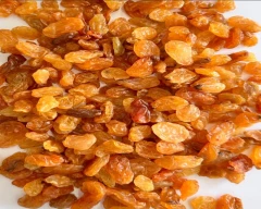 Normal Dry Grapes for sale in Nashik