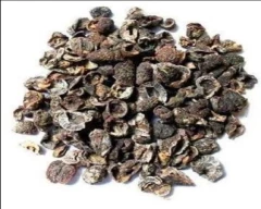 Dry Amla for sale in Jaipur