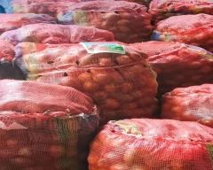Dried Arecanut for sale in South Salamara