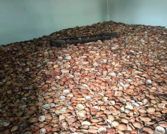 A Grade Quality Copra for sale in Nalgonda