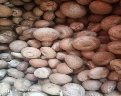 Rashi Arecanut for sale in Ahmednagar