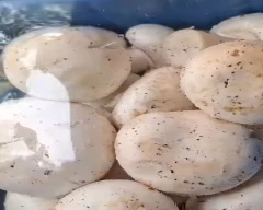 Button Mushroom for sale in Lakhimpur