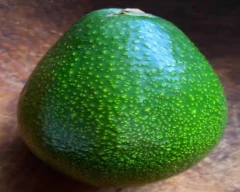 Normal Avocado for sale in Shivamogga