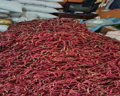 Normal Dry Chilli for sale in Davangere