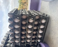 Normal Egg required in Annamayya