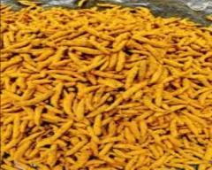 Dry Finger Turmeric for sale in South West Delhi
