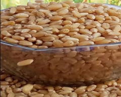 A Grade Quality Wheat for sale in Rohtas