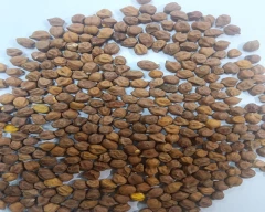 Indian Chana Dal for sale in Hyderabad