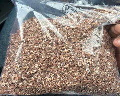 Normal Arecanut for sale in Bhopal