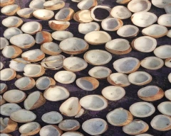 A Grade Quality Copra for sale in Tirupur
