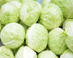 A Grade Quality Cabbage required in Ahmednagar
