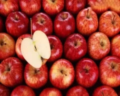 Kashmiri Apple required in Medchal
