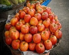 Kashmiri Apple required in Agra