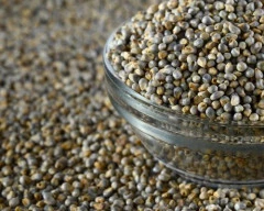 A Grade Quality Bajra required in Dharmapuri