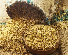 Normal Paddy required in Dhubri
