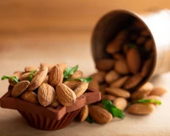 California Almond required in Auraiya